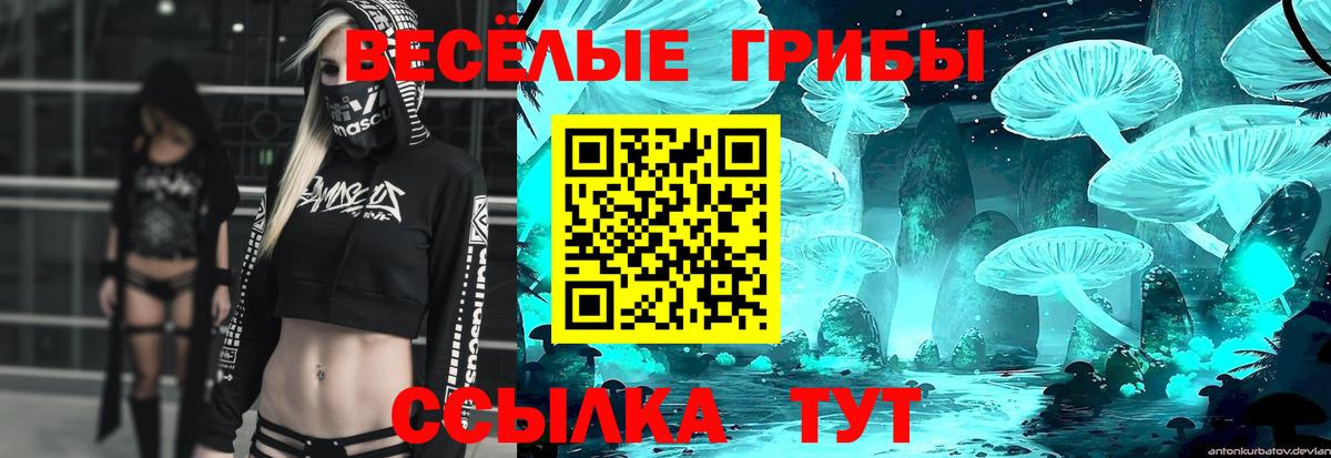 Маркс  Псилоцибиновые грибы Cubensis  Вход с VPN 