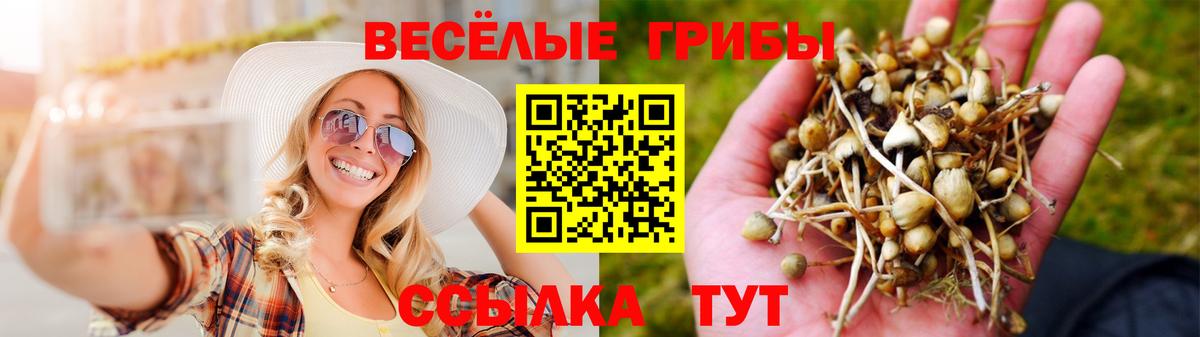 Псилоцибиновые грибы мухоморы Маркс